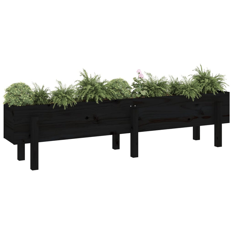 Garden Raised Bed Black 160x30x38 cm Solid Wood Pine