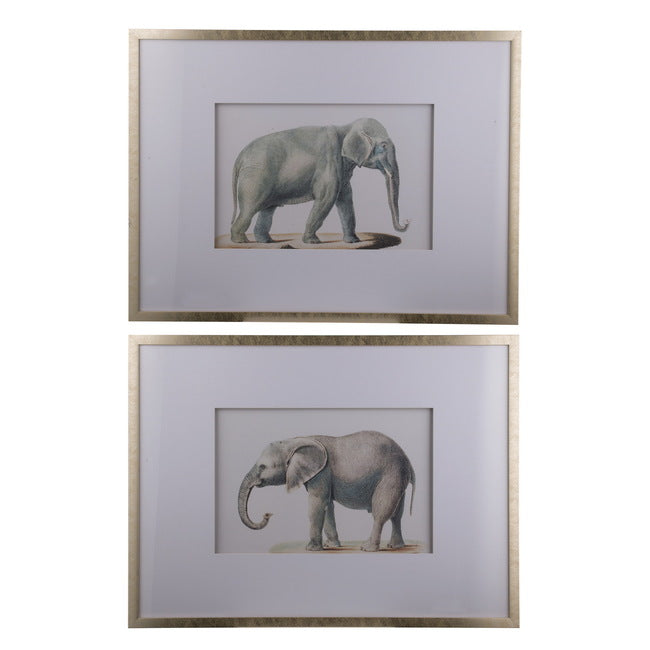 Set of 2 Elephant Framed Prints Image 1 - uhdd_20824